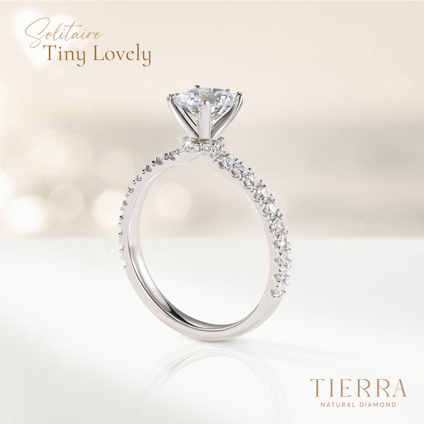 Nhẫn cầu hôn vòng cổ xoàn NCH1304